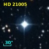 HD  21005