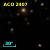 ACO  2407