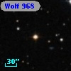 Wolf  968