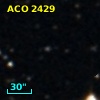 ACO  2429