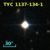 TYC 1137-134-1