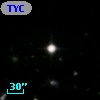 TYC 1141-1307-1