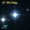 V* PU Peg