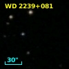 WD 2239+081
