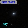 NGC  7427