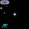 TYC 1156-1113-1
