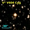 V* V604 Cyg