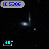 IC 5306