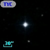 TYC 1164-1317-1