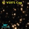 V* V1071 Cyg