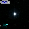 TYC 1169-105-1