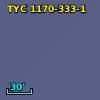 TYC 1170-333-1