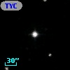 TYC 1173-1223-1