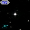 TYC 1173-1564-1