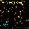 V* V1075 Cyg