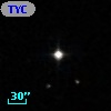 TYC  594-381-1