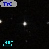 TYC  597-1466-1