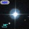 ADS   238 B
