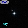 TYC  595-197-1