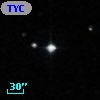TYC  595-982-1