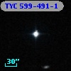 TYC  599-491-1