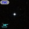 TYC  596-509-1
