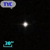 TYC  596-530-1