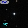 TYC  596-877-1