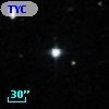 TYC  599-1113-1