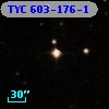 TYC  603-176-1