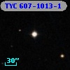 TYC  607-1013-1
