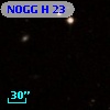 NOGG H   23