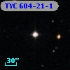 TYC  604-21-1