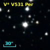 V* V531 Per