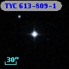 TYC  613-809-1