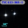TYC  613-968-1