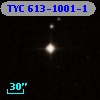 TYC  613-1001-1
