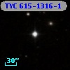 TYC  615-1316-1