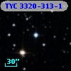 TYC 3320-313-1