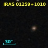 IRAS 01259+1010