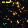 V* BH Cyg