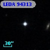LEDA   94313