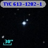 TYC  613-1202-1