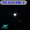 TYC  614-848-1