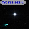 TYC  613-993-1