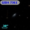 LEDA    7361