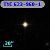 TYC  623-960-1
