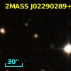 2MASS J02290289+0720187