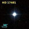HD  17481
