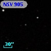 NSV   905